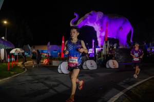 BIB: 
                            <button type="button" onclick="openModal(26552025)" class="btn btn-primary btn-sm float-right btn-popup" data-toggle="modal" data-target=".modal-high-quality">
                        <i class="fas fa-shopping-cart"></i> Add to Cart
                    </button>
                                            <button type="button" onclick="isThisMe(26552025, true)" class="btn btn-success btn-sm float-right btn-popup btn-isme hidden" data-toggle="tooltip" data-placement="bottom" title="นี่คือรูปของคุณใช่ไหม คลิกที่นี่เพื่อเอาเข้าอัลบั้ม">
                        <i class="fas fa-plus"></i> Add to album
                    </button>
                    <button type="button" onclick="isThisMe(26552025, false)" class="btn btn-warning btn-sm float-right btn-popup btn-isnotme hidden">
                        <i class="fas fa-ban"></i> Remove from album
                    </button>